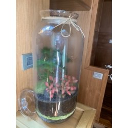 DECORATION FLOWERS - FOREST...